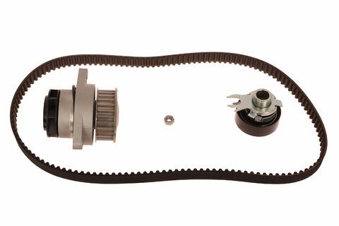 Rozvodová súprava s vodnou pumpou INA