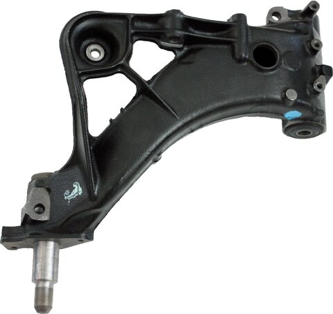 Rameno ľavej zadnej