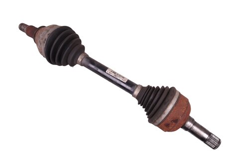 Poloosa ľavá - 13250869