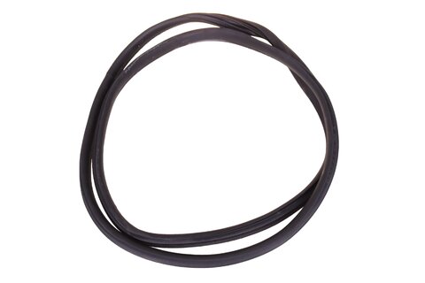 Tesnenie dverí zadné P/L 769234807R