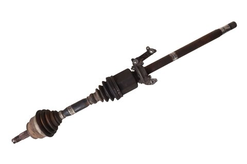 Poloosa pravá 51933669