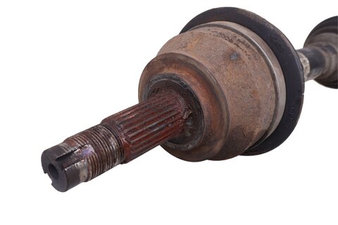 Poloosa pravá 51933669