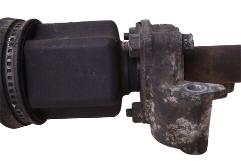 Poloosa pravá 51933669