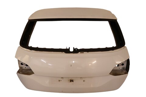 Piate dvere SW 1611637180