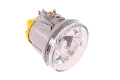 Predná hmlovka (číra)