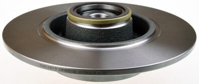 Brzdový kotúč zadný ( s ložiskom ) 274mm SKF