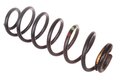 Pružina zadná L=P (1xčer, 1xzel, 1xžl) 5102CC