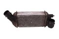 Chladič nasávaného vzduchu (intercooler) 0384P4