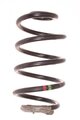 Pružina zadná ľavá aj pravá L = P (červená, zelená)