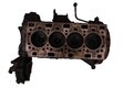 Blok motora 2.2 dCi